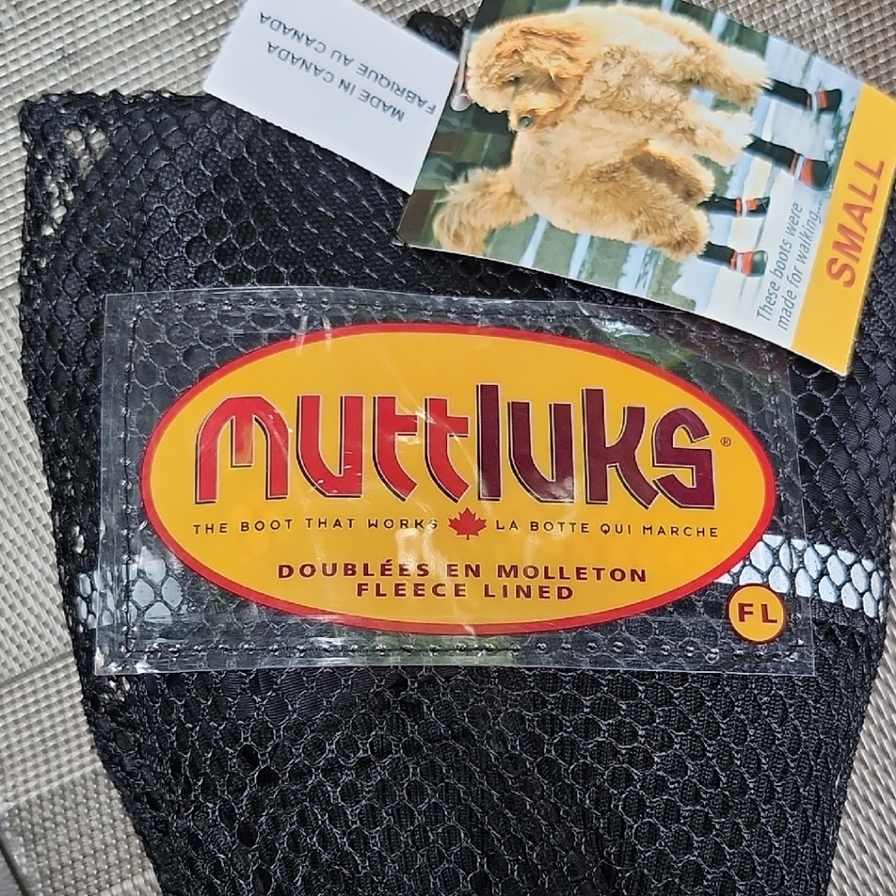 Black Reptile with Unique Features